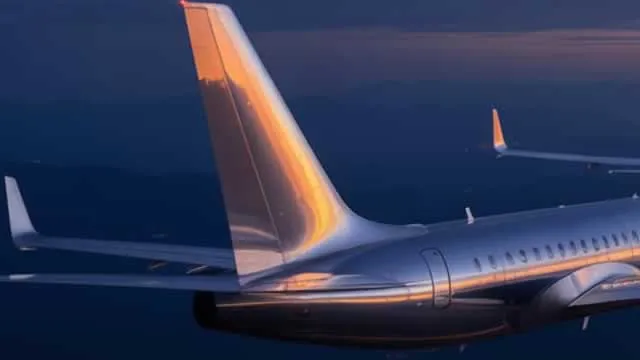 EXPD Q2 Earnings Beat Estimates on Airfreight and Customs Strength