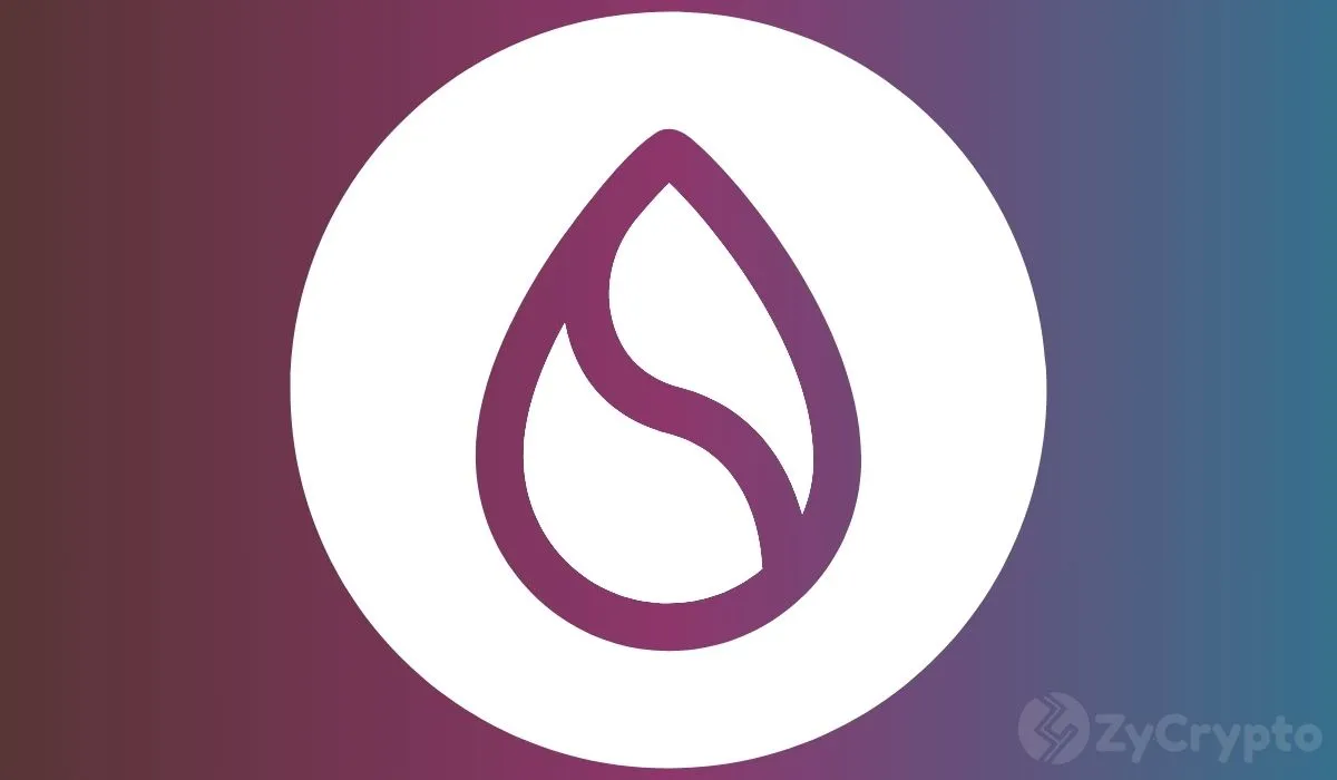 Sui Leads Stablecoin Transaction Volume YTD with $400 Billion, Outperforming Major Crypto Assets