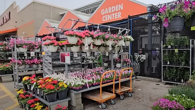 Home Depot (HD) Surpasses Market Returns: Some Facts Worth Knowing