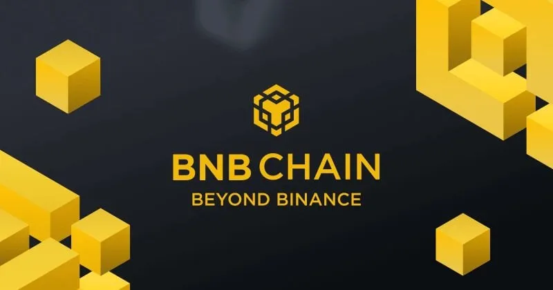 BNB Chain generates $900K in REV, outpacing major rivals