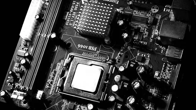 Load Up On AMD Because Its High Beta Will Reward You Now