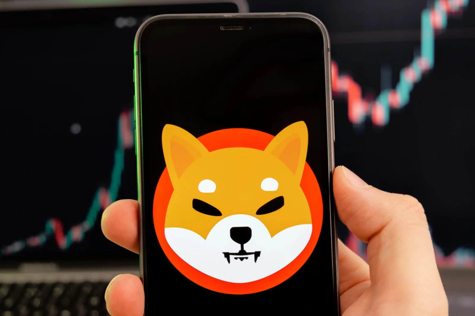 Brutal Shiba Inu (SHIB) Entry Denial: Price Enters Bearish Reversal Mode