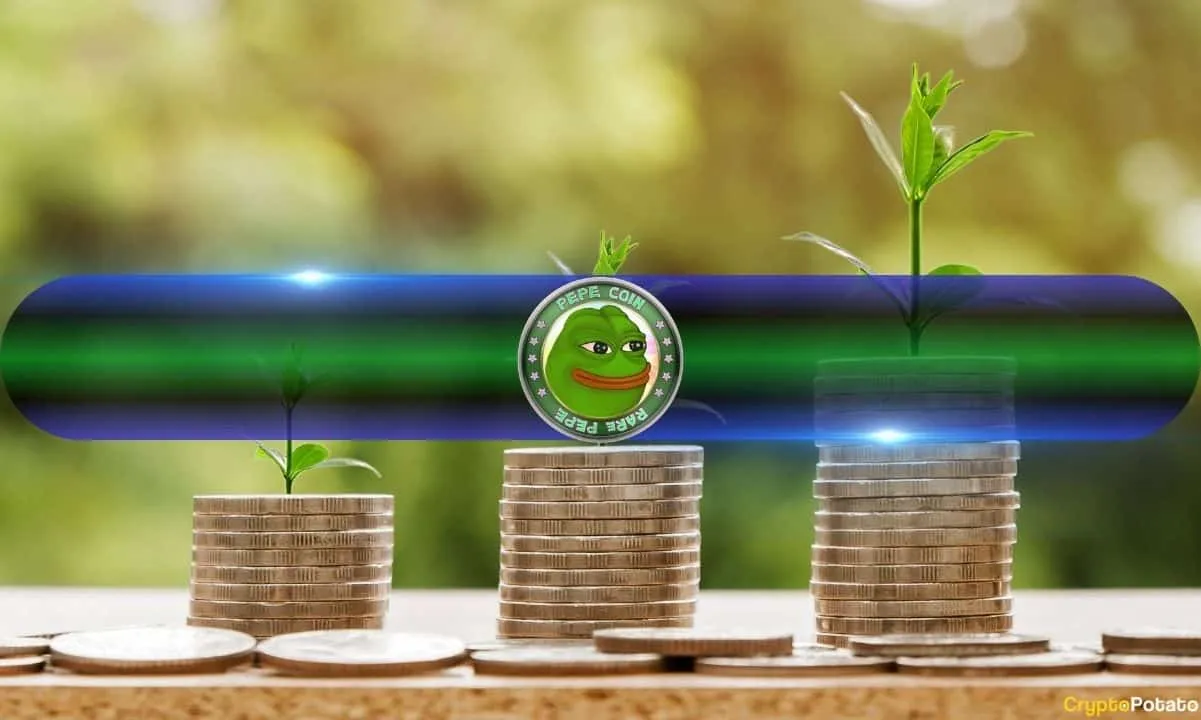 PEPE Supply on Exchanges Just Took a Massive Hit – What's Next?
