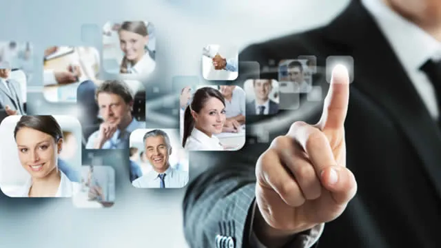 BGSF Q2 Earnings Call Highlights